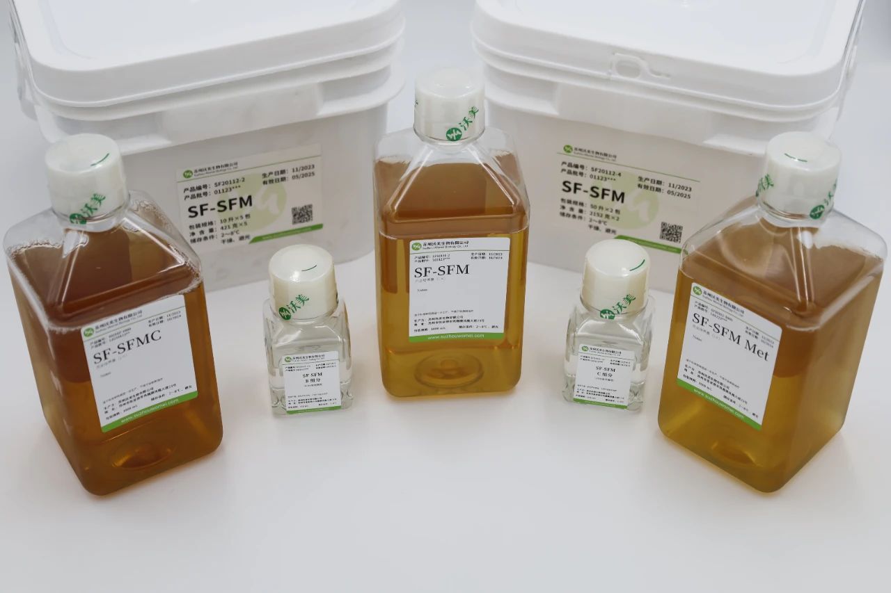 微信圖片_20240514160942 微信圖片_20240514160942